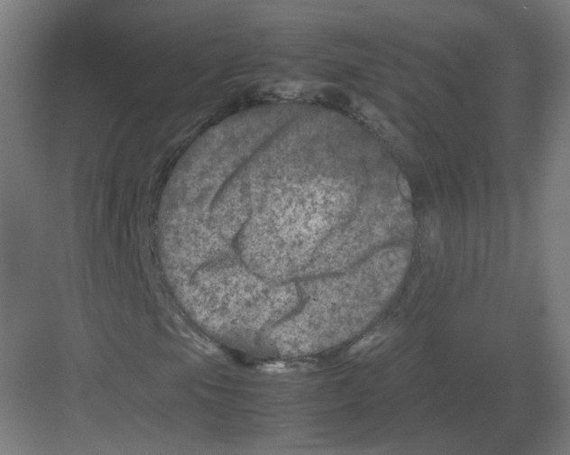 X0000082171105200702162253