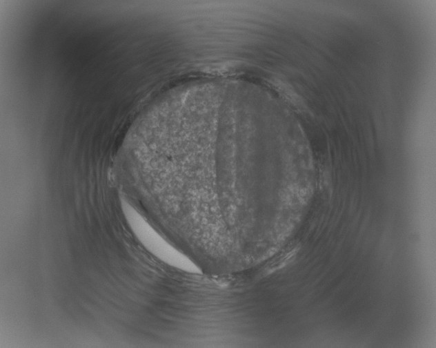 X0000082171106200702162253