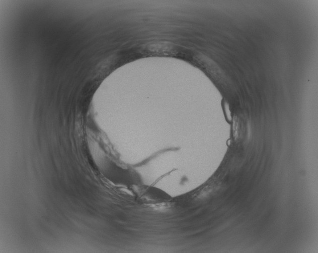 X0000082171107200702162253