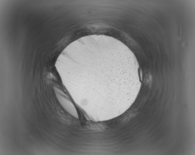 X0000082171108200702162253