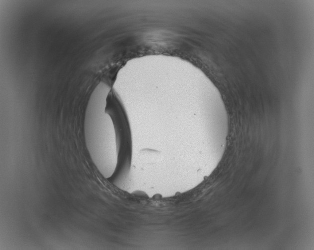 X0000082171109200702162253