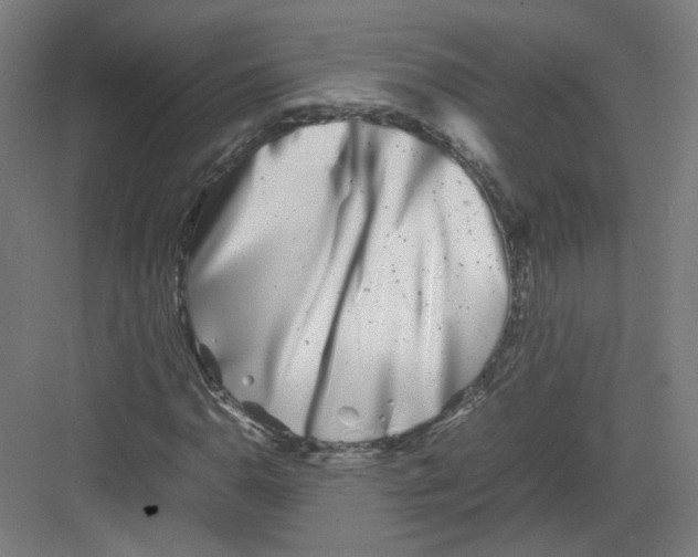 X0000082171110200702162253