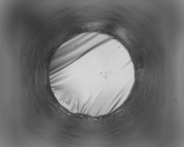 X0000082171111200702162254