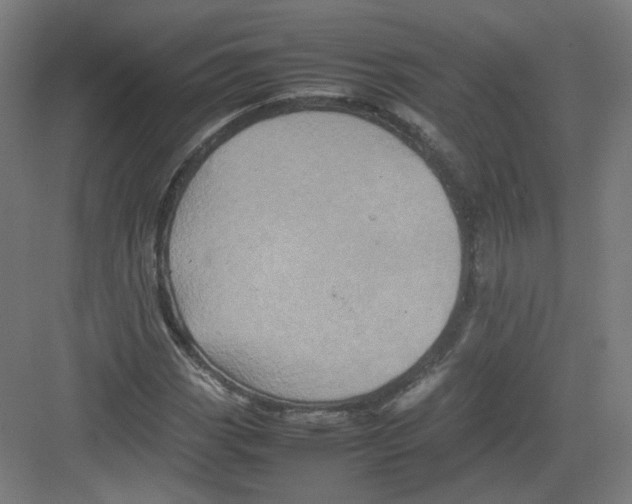 X0000082171113200702162254