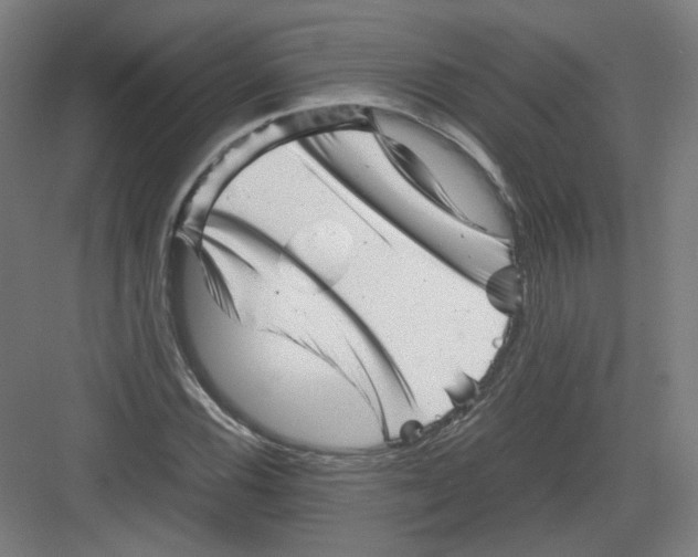 X0000082171116200702162254