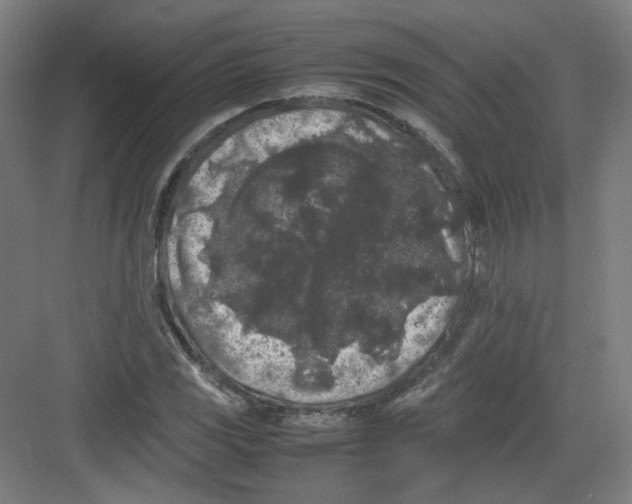 X0000082171117200702162254