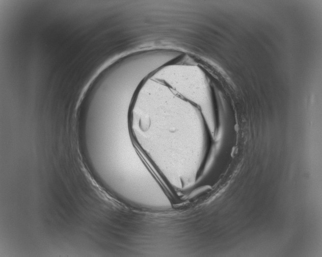 X0000082171118200702162254