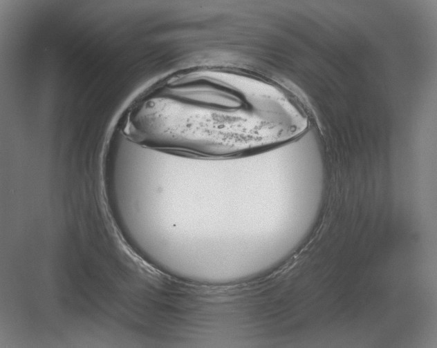 X0000082171120200702162254