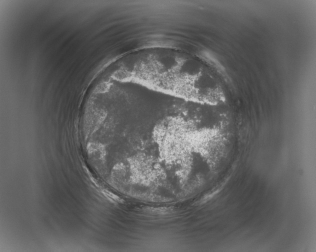 X0000082171121200702162254