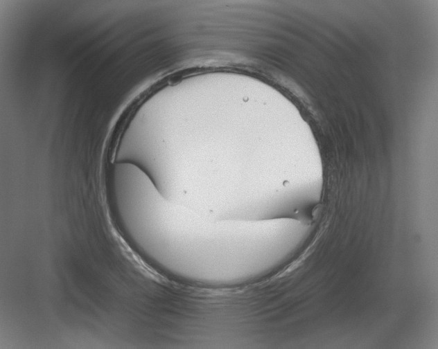 X0000082171122200702162254