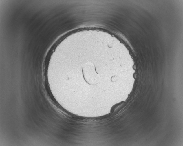 X0000082171124200702162254