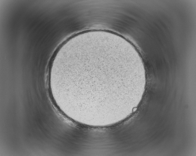 X0000082171126200702162254