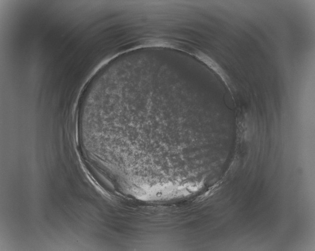 X0000082171127200702162254