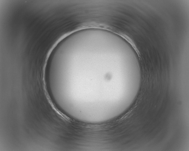 X0000082171128200702162254