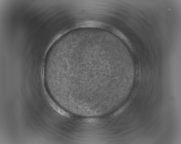 X0000082171130200702162254