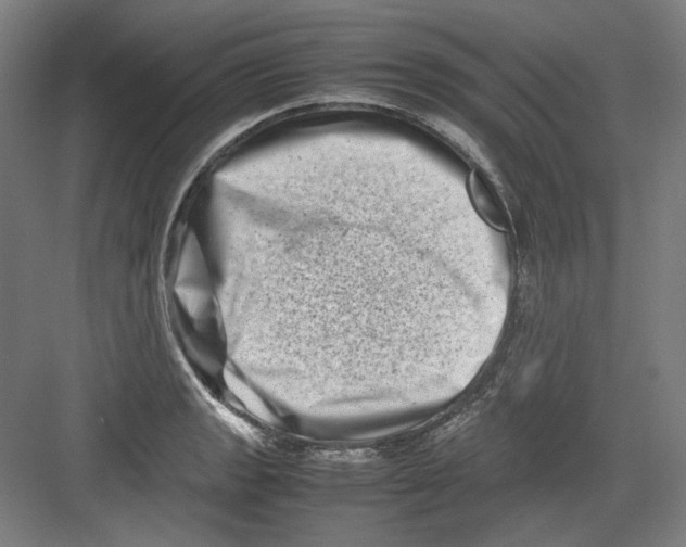 X0000082171133200702162254