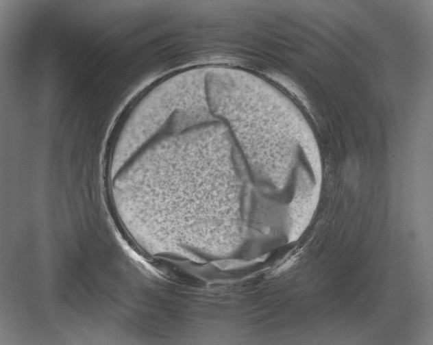 X0000082171135200702162254