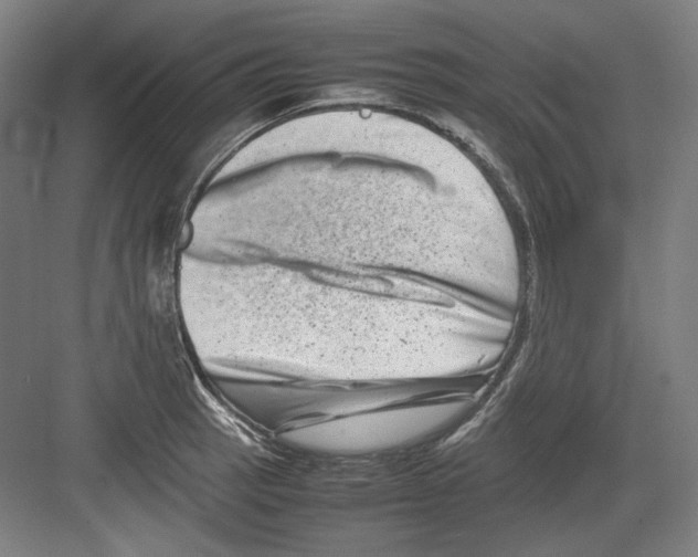 X0000082171137200702162254