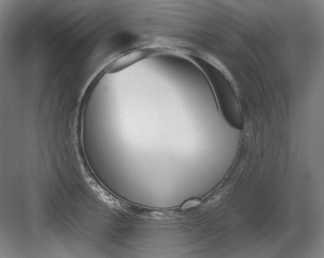 X0000082171138200702162254