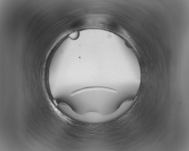 X0000082171139200702162254