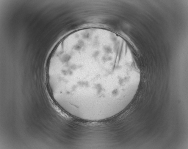 X0000082171140200702162254