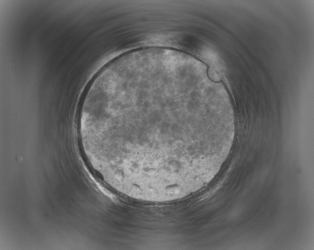 X0000082171141200702162254