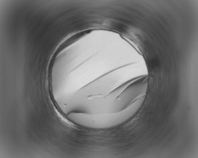 X0000082171143200702162254