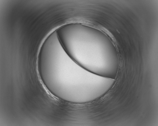 X0000082171144200702162254