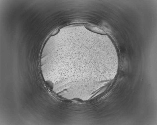 X0000082171145200702162254