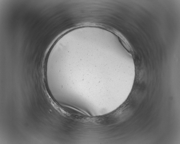 X0000082171148200702162254