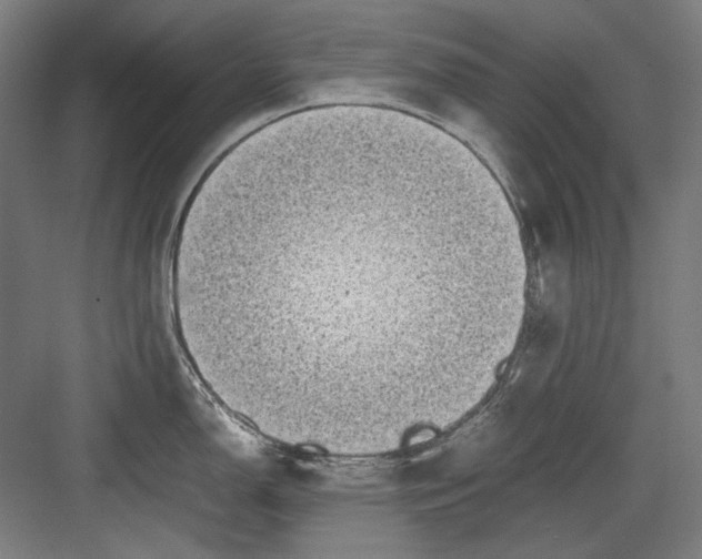 X0000082171150200702162254