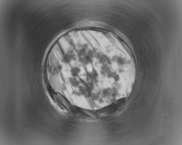 X0000082171152200702162254