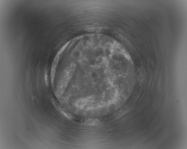 X0000082171154200702162253