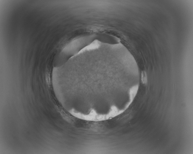 X0000082171155200702162253