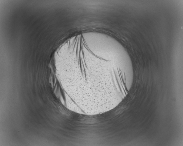 X0000082171156200702162253