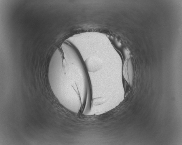 X0000082171157200702162253