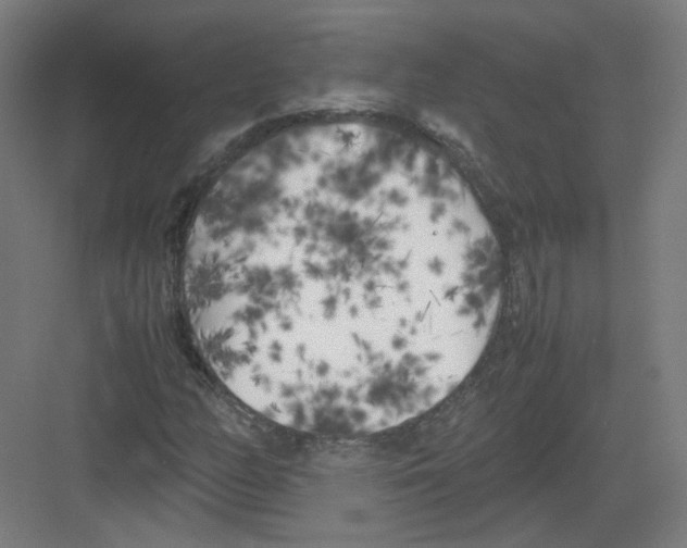 X0000082171158200702162253
