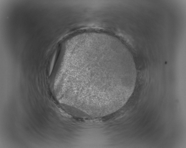 X0000082171159200702162253