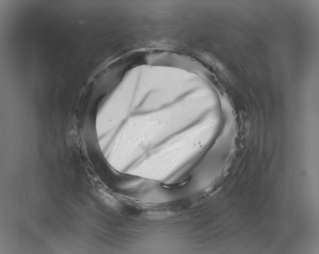 X0000082171160200702162253