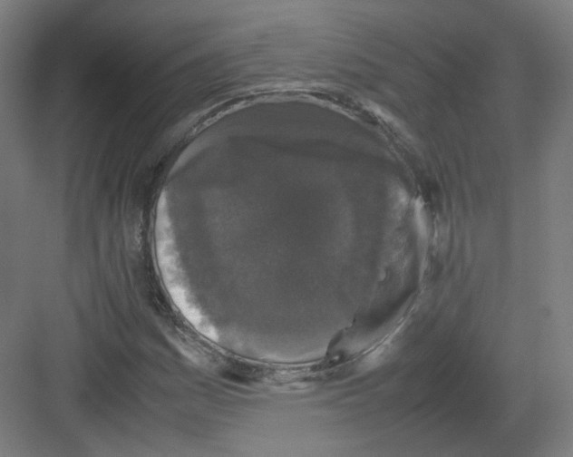 X0000082171161200702162253