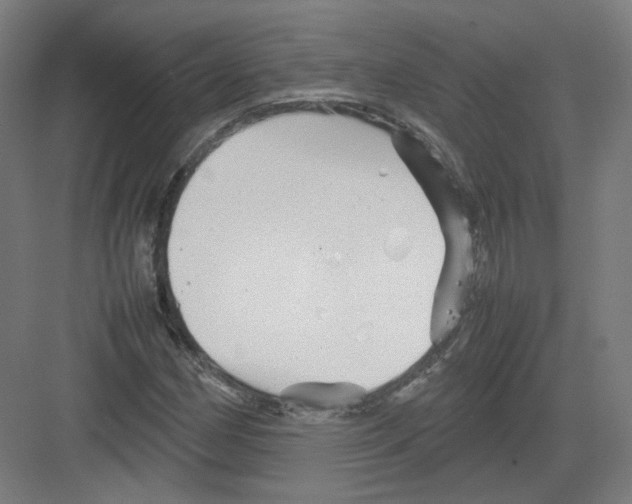 X0000082171162200702162253