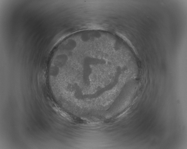 X0000082171163200702162253