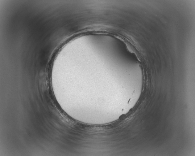 X0000082171164200702162253