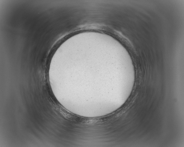 X0000082171166200702162253