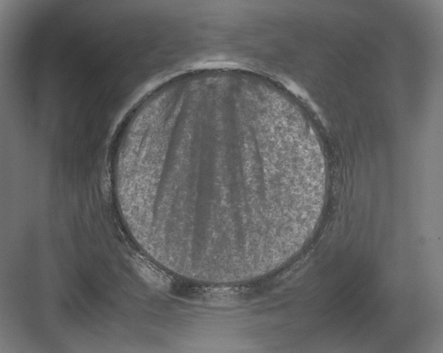 X0000082171167200702162253