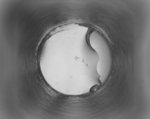 X0000082171168200702162253