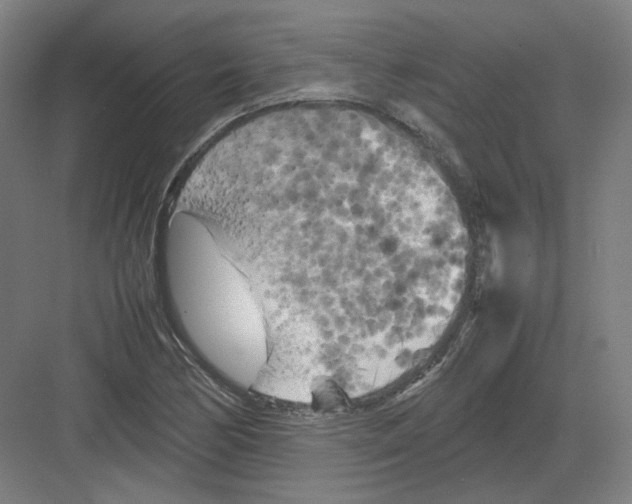 X0000082171170200702162253