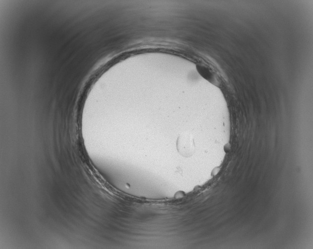 X0000082171172200702162253