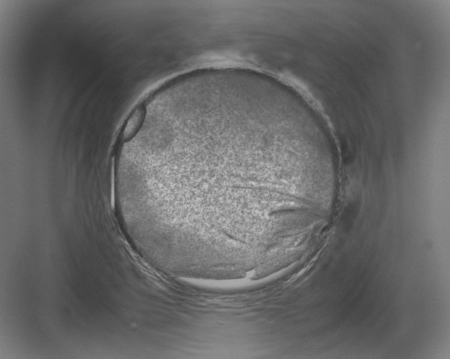 X0000082171175200702162253