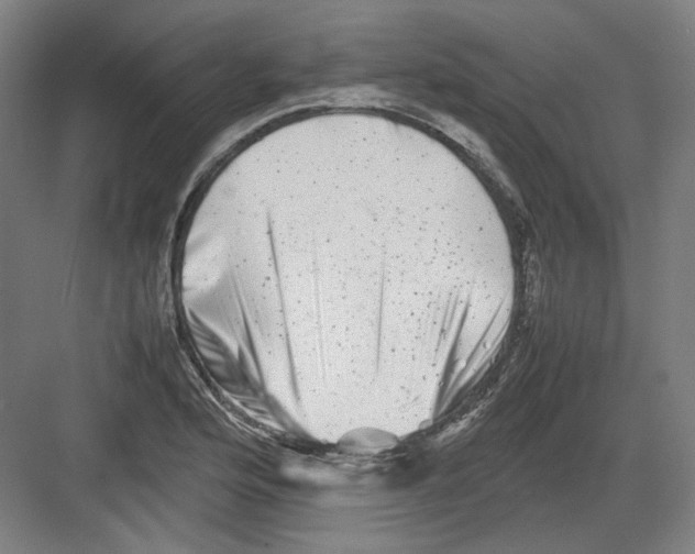 X0000082171176200702162253